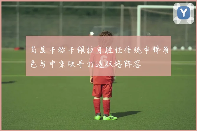 乌度卡称卡佩拉可胜任传统中锋角色与申京联手打造双塔阵容