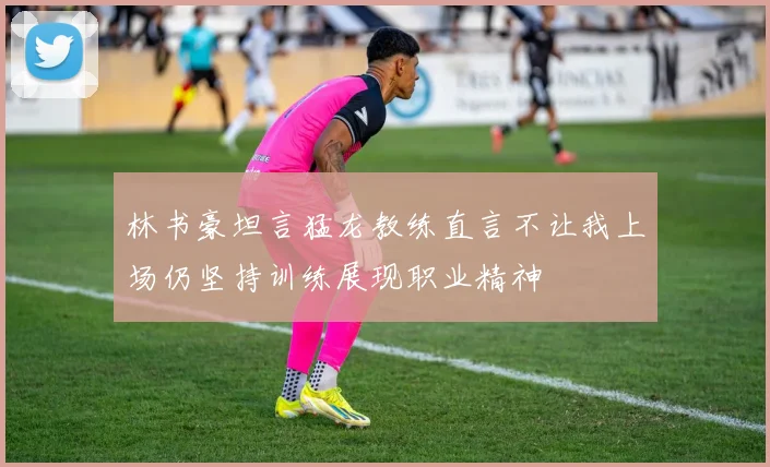 林书豪坦言猛龙教练直言不让我上场仍坚持训练展现职业精神